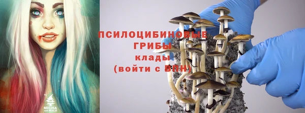 spice Абаза