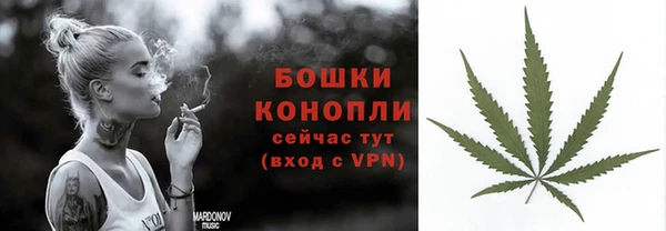 spice Абаза