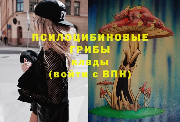 стаф Абинск