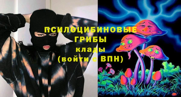 стаф Абинск