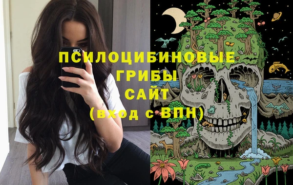 apvp Абдулино