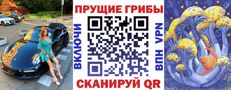цена   Сергач  Галлюциногенные грибы прущие грибы 
